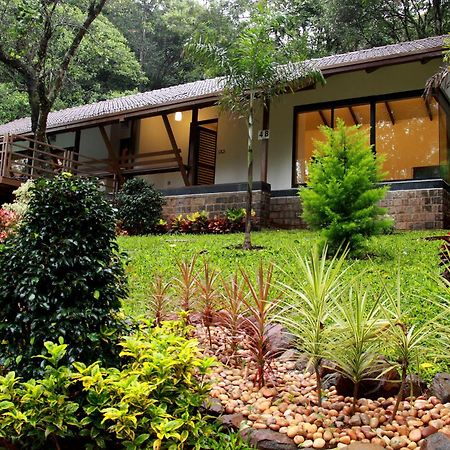 The Ibnii - Eco Luxury Resort Madikeri Bagian luar foto